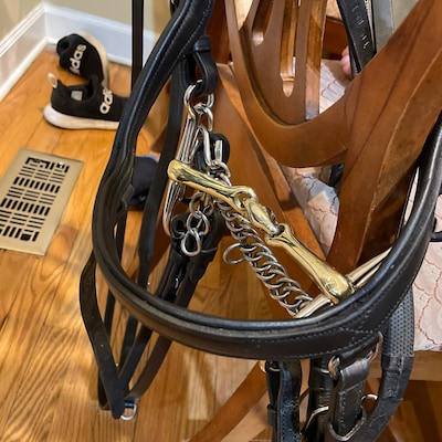 AJ Tack Argentine Sweet Iron Low Port Horse Bit - 5 Inch Mouthpiece Training Bit