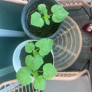 Keith added a photo of their purchase