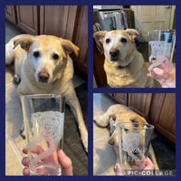 Dog Father - Personalized Custom Beer Glass main image 0