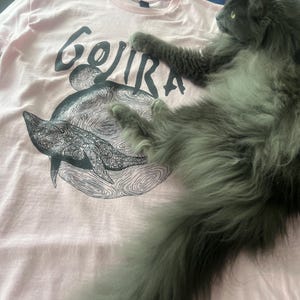 Joanna added a photo of their purchase