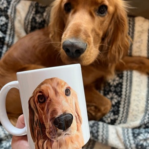 Julia adicionaram uma foto da sua compra