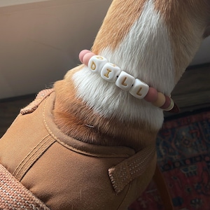 Emmy added a photo of their purchase