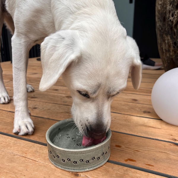 Paw print  bowl
