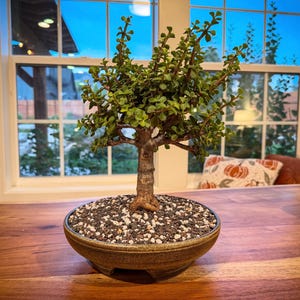 Jason added a photo of their purchase