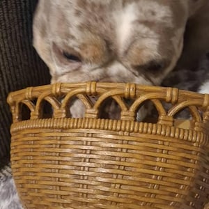 Daisy added a photo of their purchase
