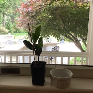 Jeanne added a photo of their purchase