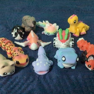Camila added a photo of their purchase
