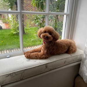 C added a photo of their purchase