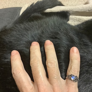 Cheryl added a photo of their purchase