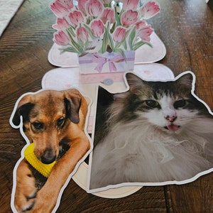 Annie added a photo of their purchase