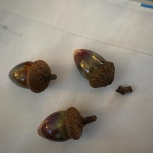 Sherry added a photo of their purchase