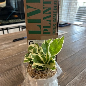 joanne added a photo of their purchase