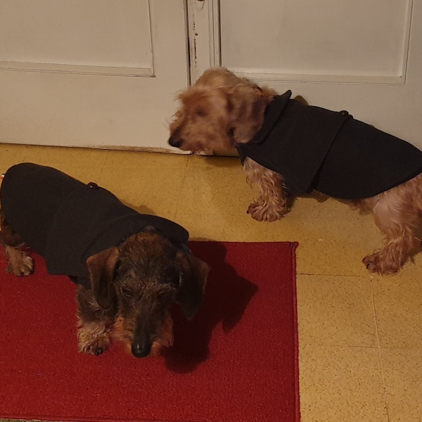 Cadeau Original Allemand Teckel Articulé Kremers 30cm - Tirelire