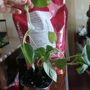 Tami added a photo of their purchase