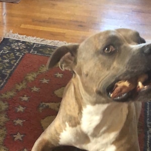 Comprador Etsy adicionaram uma foto da sua compra