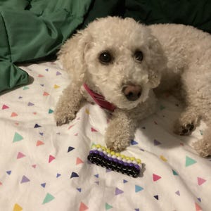 OLIVE added a photo of their purchase