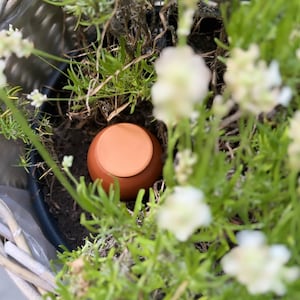 Ulla added a photo of their purchase