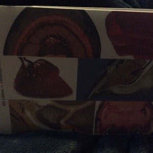 Shauna added a photo of their purchase