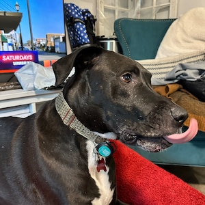 Emily Nickerson added a photo of their purchase