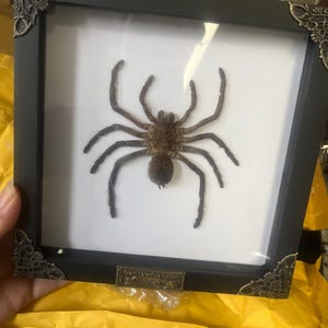 Michelle added a photo of their purchase