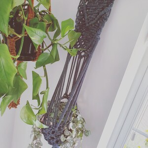 Sally added a photo of their purchase