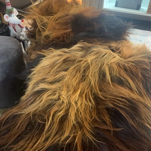 phillip added a photo of their purchase