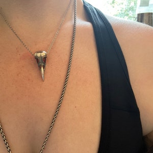 Calomoon added a photo of their purchase