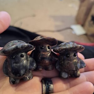 Susan added a photo of their purchase