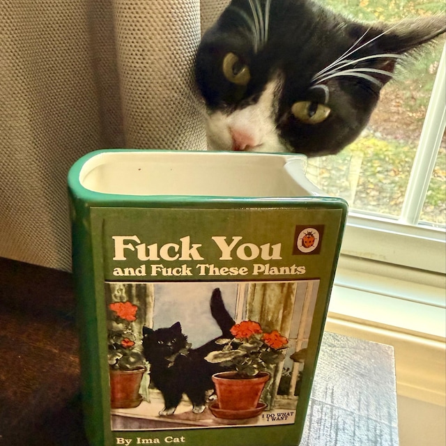 Cat Ceramic Book Vase Planter Pencil Cup Funny - Etsy