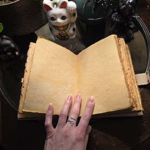 Aubrey ha añadido una foto de su compra