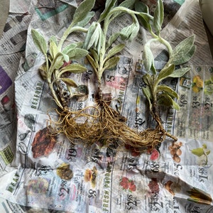 Karla ha añadido una foto de su compra