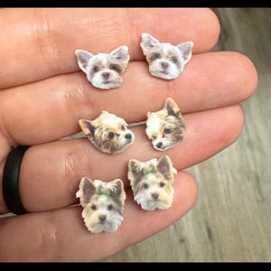 Ashley added a photo of their purchase