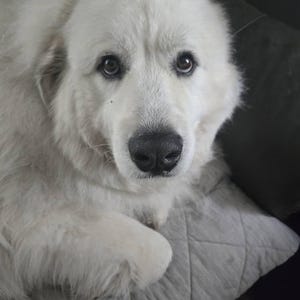 Barbara added a photo of their purchase