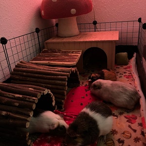 Vishmi added a photo of their purchase