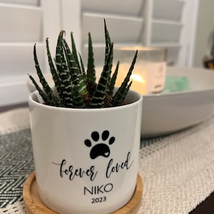 Hazel added a photo of their purchase