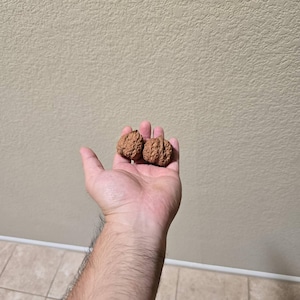 Eric added a photo of their purchase