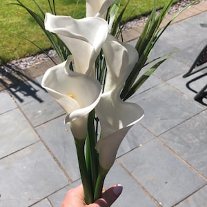 lucy added a photo of their purchase