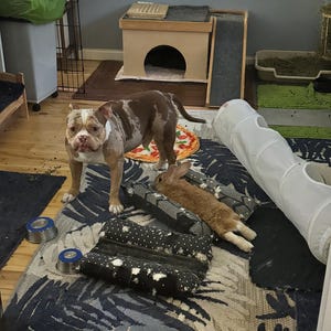 Ivy added a photo of their purchase