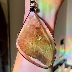Kimberly added a photo of their purchase