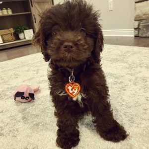 Mallory adicionaram uma foto da sua compra