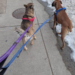 John hat ein Foto des gekauften Artikels hinzugefügt