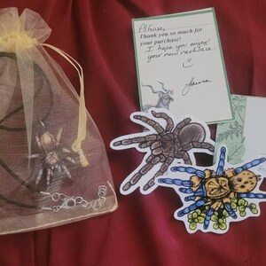 Arizona Blonde Tarantula - Aphonopelma Chalcodes - Wooden Pendant