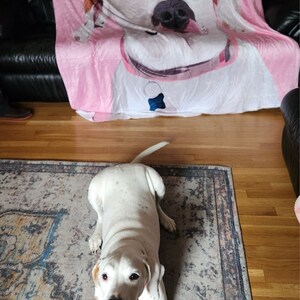 Maddie added a photo of their purchase