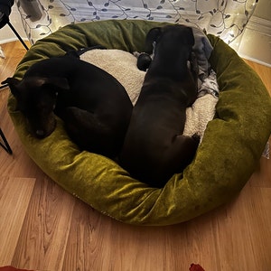 Jo added a photo of their purchase