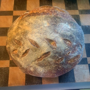 Gluten Free Sourdough Starter Maintained With GF King Arthur - Etsy