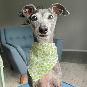 Anne added a photo of their purchase