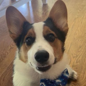 Lizzie ha añadido una foto de su compra