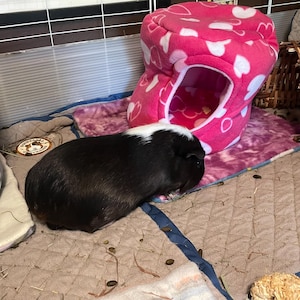 Lynne added a photo of their purchase
