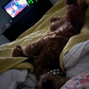 Lily hat ein Foto des gekauften Artikels hinzugefügt