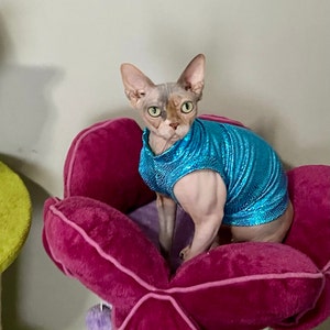 Sphynx Cat Clothes, Hailess Cat Shit, Soft Stetchy Sweate